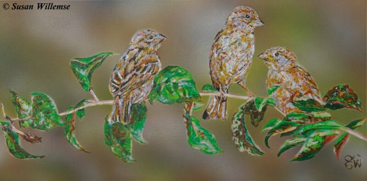 Painting titled "Rural Sparrows" by Susan Willemse, Original Artwork, Acrylic Mounted on Wood Stretcher frame