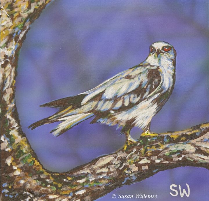 Painting titled "Kite" by Susan Willemse, Original Art, Acrylic Mounted on Other rigid panel