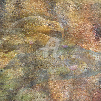 Digital Arts titled "Águia" by Sérgio Guadagnini, Original Artwork, Digital Painting