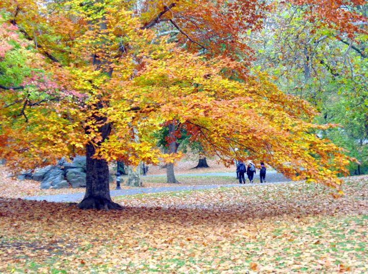 Fotografie getiteld "Central Park, New Y…" door Sabina Faynberg, Origineel Kunstwerk, Niet gemanipuleerde fotografie