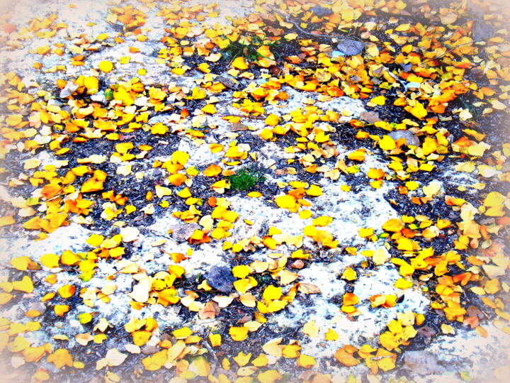 Fotografie getiteld "Autumn Leaves on Ro…" door Sabina Faynberg, Origineel Kunstwerk, Digitale fotografie