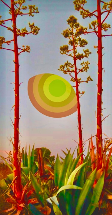 Digital Arts titled "Agave palette" by Sabina Vannucci Rockwell, Original Artwork, Manipulated Photography