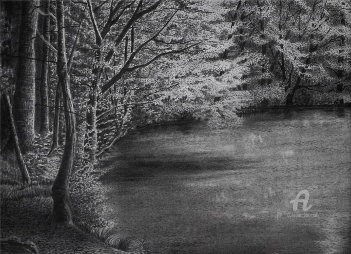 Drawing titled "Der kleine Waldsee" by Sabine Weigel, Original Artwork, Pencil