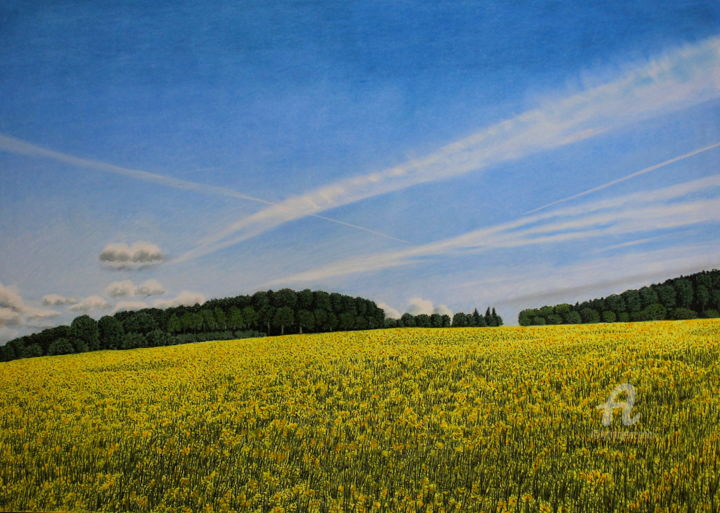 Pintura titulada "Das Rapsfeld" por Sabine Weigel, Obra de arte original, Pastel