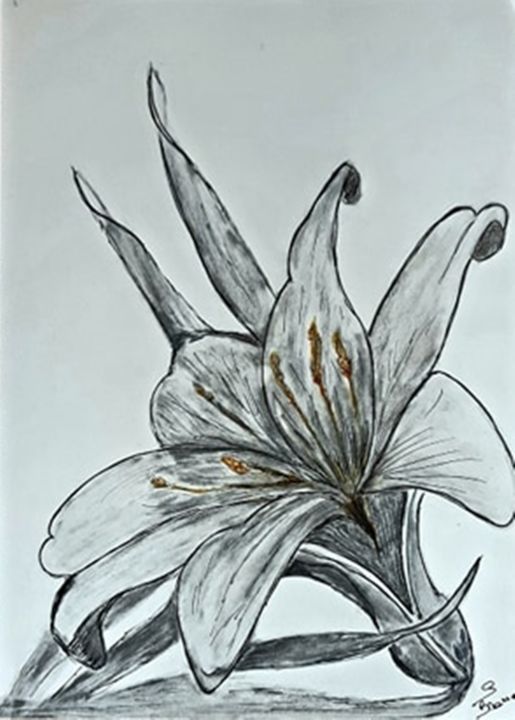 Drawing titled "Lys black and white" by Sabine Branne, Original Artwork, Graphite
