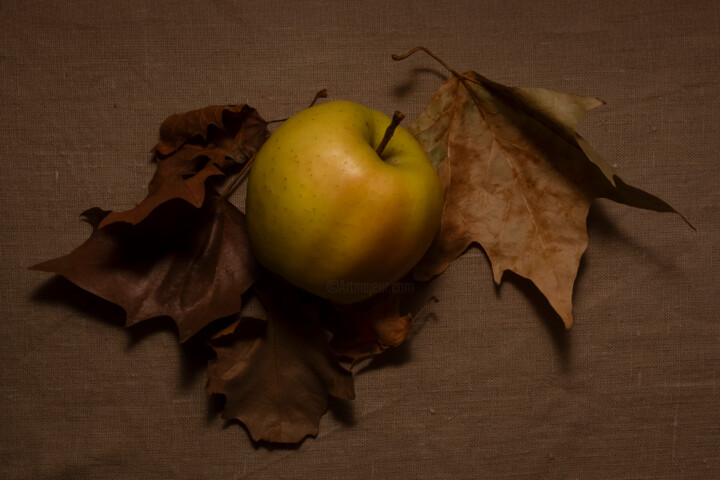 Fotografia intitolato "Apple and leaves" da Sabrina Stea, Opera d'arte originale, Fotografia digitale