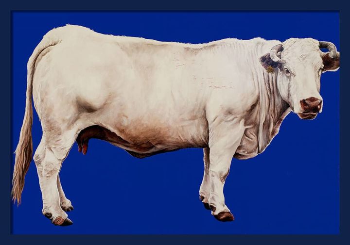 Peinture intitulée "Vache sur bleu" par Sacha Schwarz, Œuvre d'art originale, Acrylique Monté sur Châssis en bois
