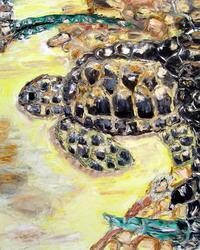 Painting titled "caretta series" by Sadettin Sari, Original Artwork