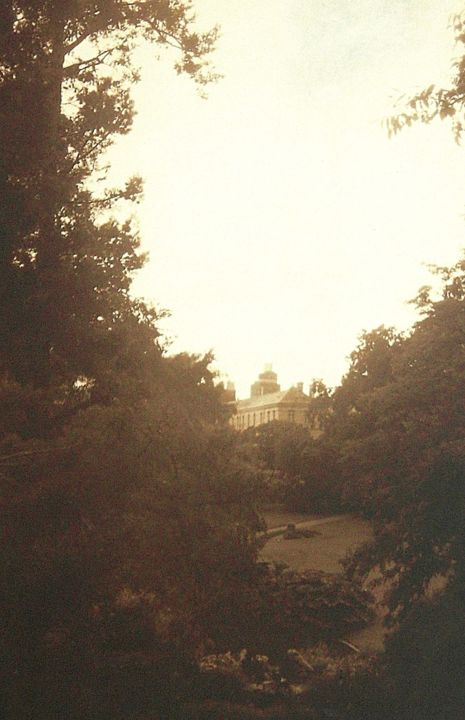 Fotografia intitolato "Botanical Garden (N…" da Salah El Moncef, Opera d'arte originale, fotografia a pellicola