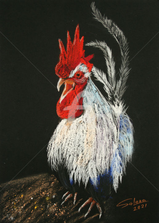 Рисунок под названием "ROOSTER VI" - Svetlana Samovarova, Подлинное произведение искусства, Пастель