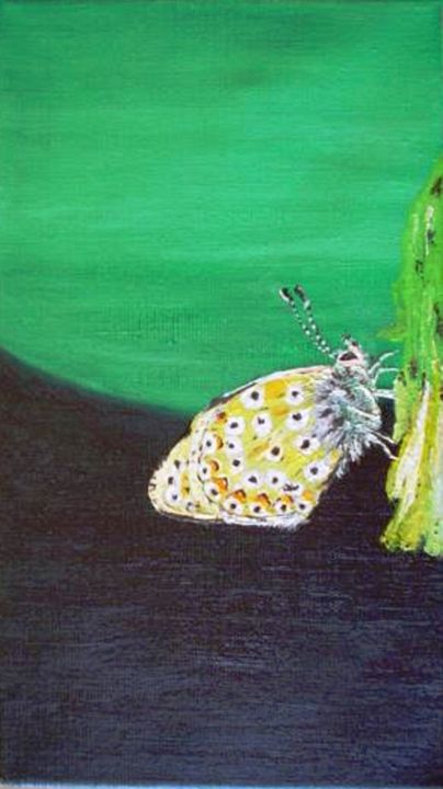 Pittura intitolato "papillon-ou-dors-tu…" da Lolo, Opera d'arte originale, Acrilico