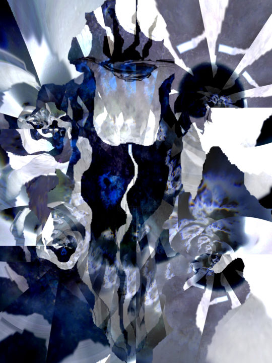 Arte digitale intitolato "Fiori di Loto" da Salvatore Barra, Opera d'arte originale, Lavoro digitale 2D