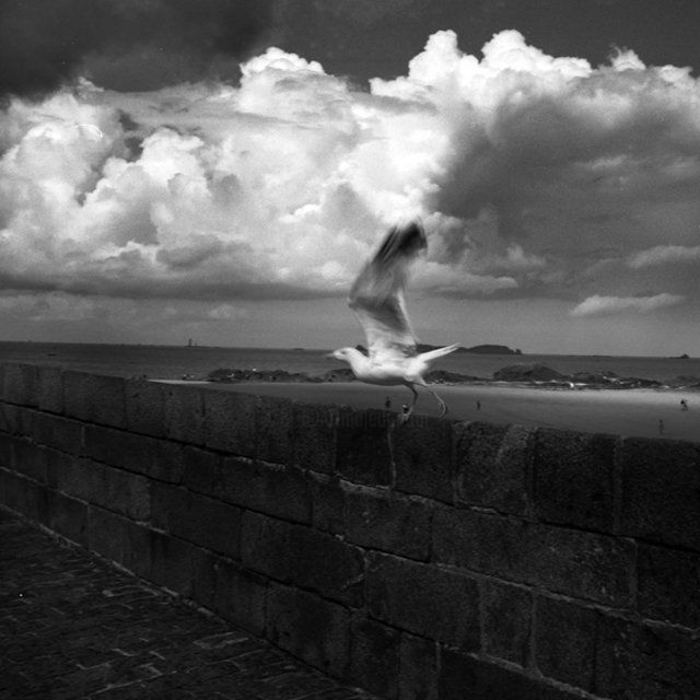 Fotografia intitolato "Libertà" da Salvatore Di Vilio, Opera d'arte originale,