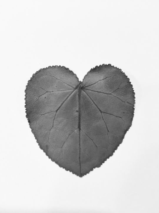 Photographie intitulée "heart1" par Salvatore D'Onofrio, Œuvre d'art originale