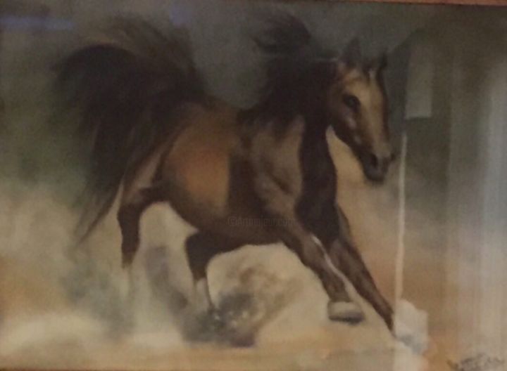 Pintura intitulada "Horse" por Samaneh Aminifar, Obras de arte originais, Pastel