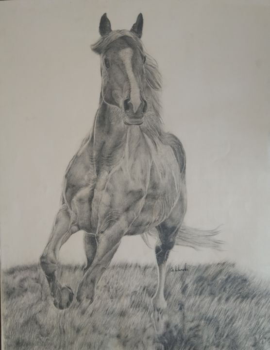 Рисунок под названием "Horse" - Samet Lalemeke, Подлинное произведение искусства, Древесный уголь