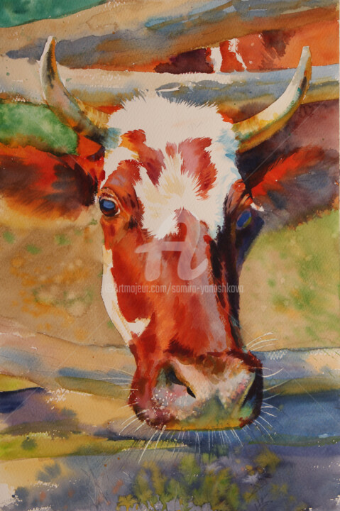 Картина под названием "Cow - animals paint…" - Samira Yanushkova, Подлинное произведение искусства, Акварель