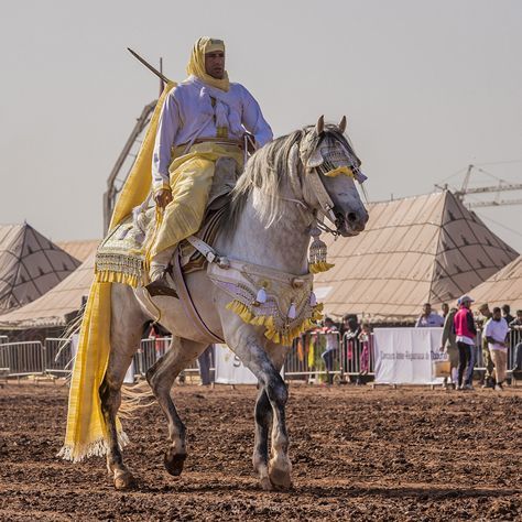 Фотография под названием "visit-morocco-horse…" - Alfredo, Подлинное произведение искусства
