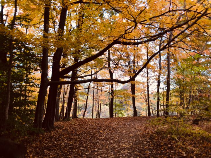Photography titled "Warm Autumn View" by Samantha Chmielinski, Original Art, Digital Photography