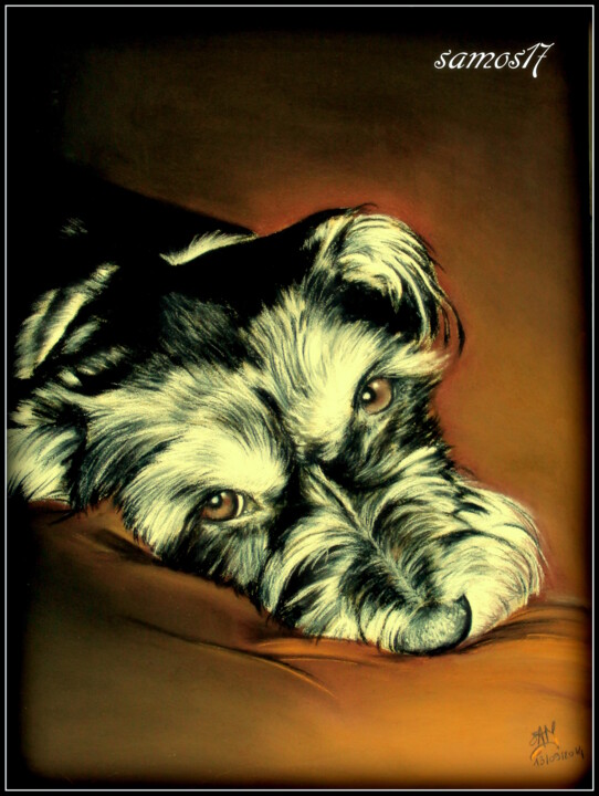 Рисунок под названием "chien dessiné au pa…" - Samos17 Portraitiste, Подлинное произведение искусства, Пастель