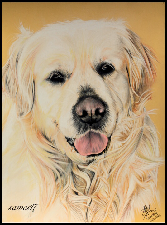 Dessin intitulée "chien au pastel gol…" par Samos17 Portraitiste, Œuvre d'art originale, Crayon