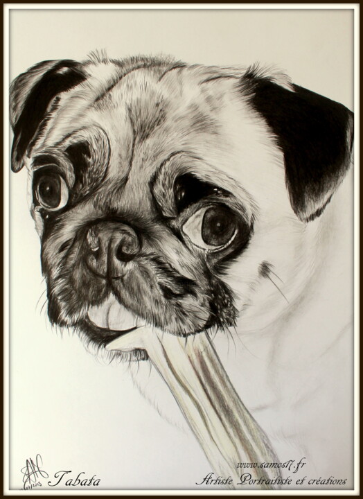 Dessin intitulée "portrait chien noir…" par Samos17 Portraitiste, Œuvre d'art originale, Crayon