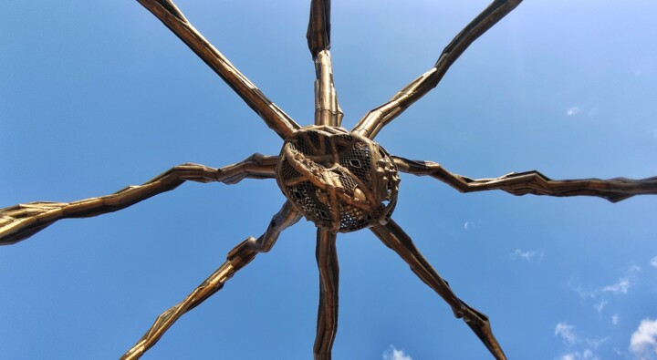 Fotografía titulada "Araña" por Samuel Diaz Sauceda, Obra de arte original, Fotografía digital