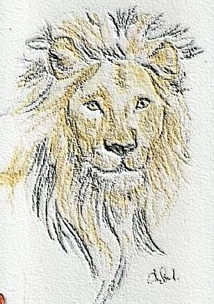 Drawing titled "lion" by Sandrine Champeval, Original Artwork