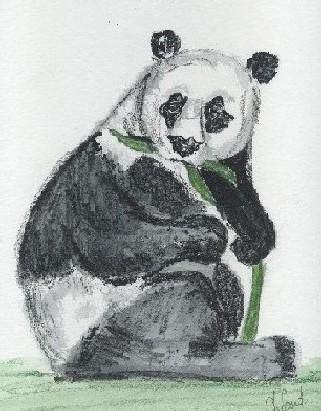Drawing titled "Panda" by Sandrine Champeval, Original Artwork