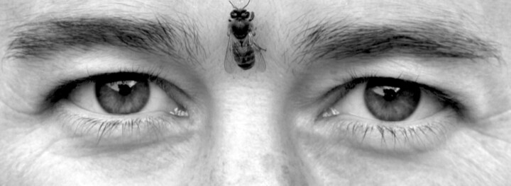 Photographie intitulée "Bee Eye" par Sandira, Œuvre d'art originale, Photographie numérique