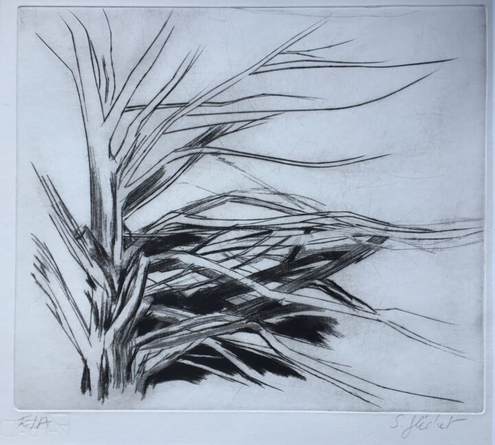 Printmaking titled "Cyprès" by Sandra Fléchet, Original Artwork, Engraving