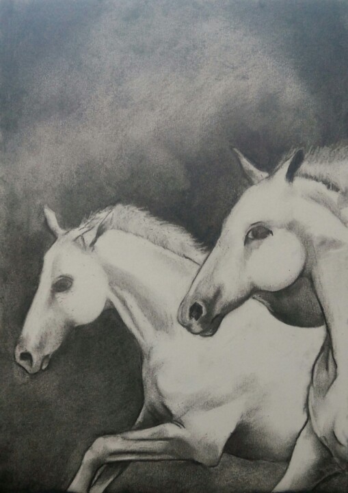 Dessin intitulée "Cavalos / Horses" par Sandra Sousa, Œuvre d'art originale, Fusain