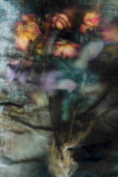 摄影 标题为“Dancing Roses I” 由Sandra Platas Hernández, 原创艺术品, 数码摄影