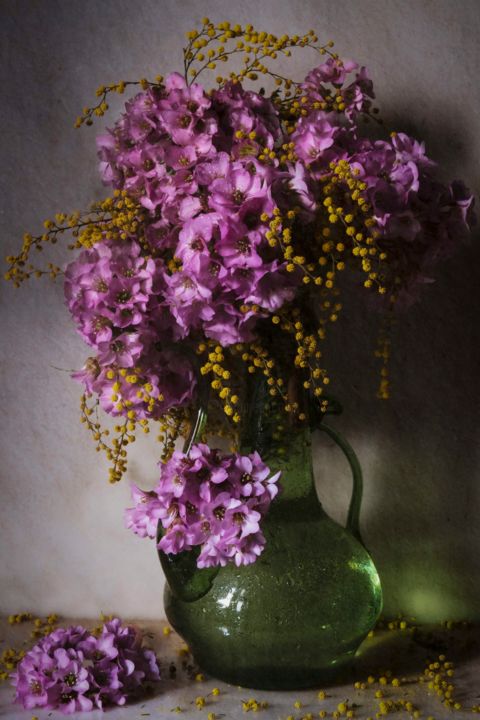 Photographie intitulée "Mimosa" par Sandra Platas Hernández, Œuvre d'art originale, Photographie numérique