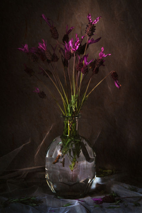 Photographie intitulée "Butterfly Lavender" par Sandra Platas Hernández, Œuvre d'art originale, Photographie numérique