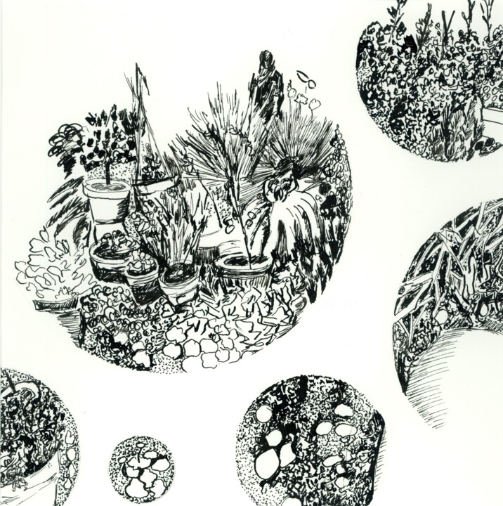 Dessin intitulée "Pots et plantes" par Sandra Vigouroux, Œuvre d'art originale, Encre