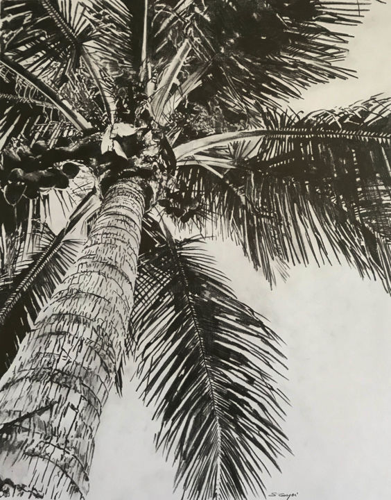 Cocotier Dessin Par Sandrine Royer Artmajeur Cocotier Dessin Par Sandrine Royer Artmajeur
