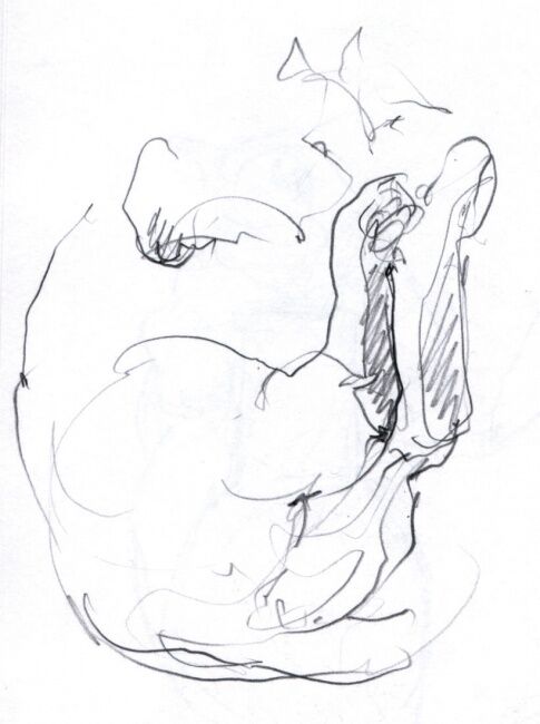 Drawing titled "animaux8.jpg" by Sandrine Wely, Original Artwork