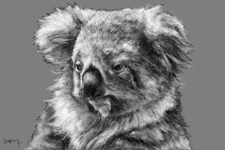 Arts numériques intitulée "Portrait d'un koala" par Sandrine Wely, Œuvre d'art originale