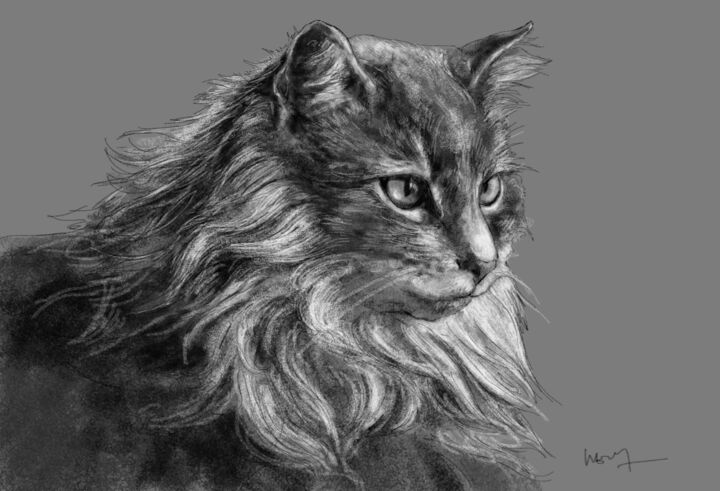 Arts numériques intitulée "Portrait d'un chat…" par Sandrine Wely, Œuvre d'art originale