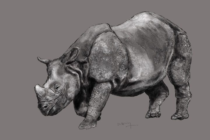 Digital Arts titled "Rhinoceros indien" by Sandrine Wely, Original Artwork