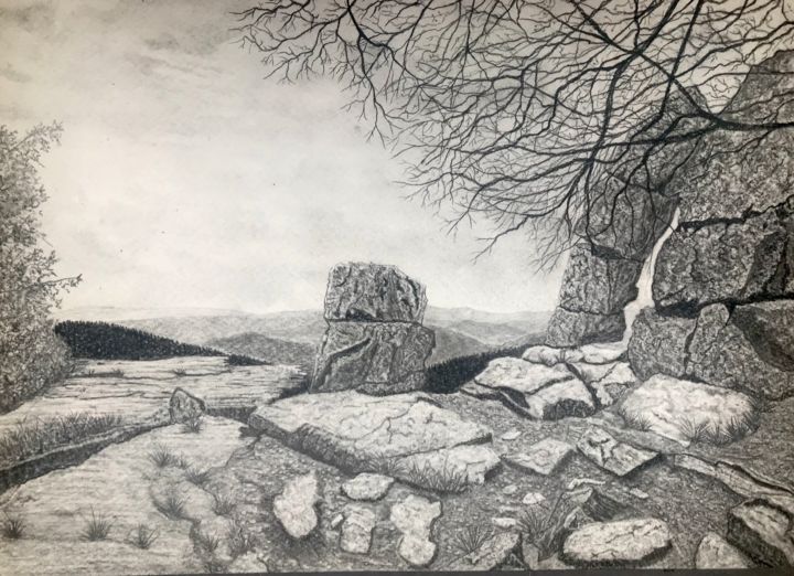 Dessin intitulée "Roc la tour" par Sandrine Piegay, Œuvre d'art originale, Graphite