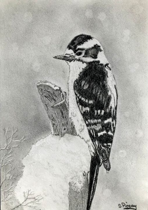 Drawing titled "Pic en hiver" by Sandrine Piegay, Original Art, Graphite