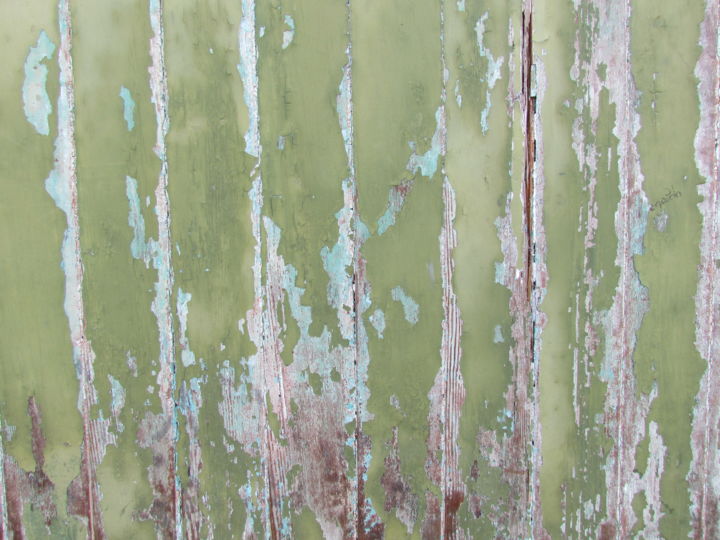 Fotografie mit dem Titel "green Wall" von Sandro Hoffmann, Original-Kunstwerk