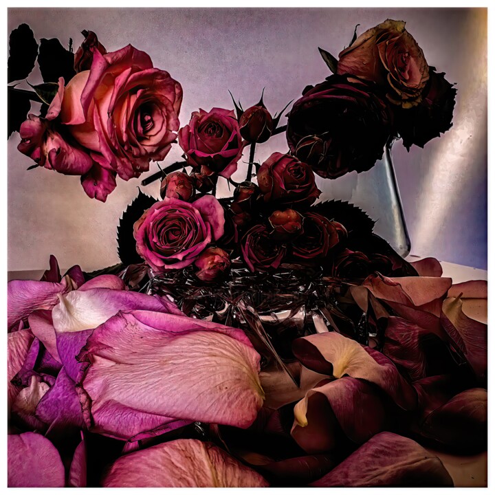 Digital Arts titled "Rosa #3467" by Sandro, Original Artwork, Manipulated Photography