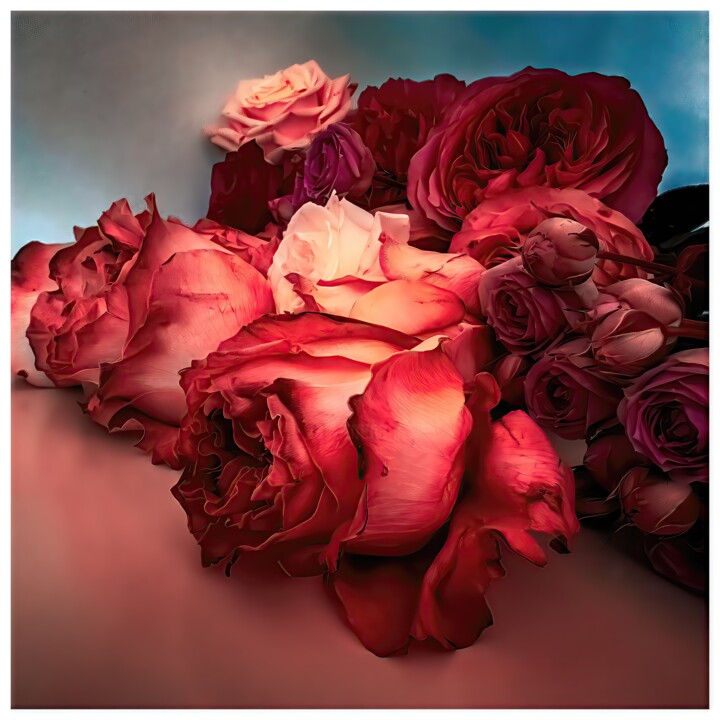 Digital Arts titled "Rosa #8687" by Sandro, Original Artwork, Manipulated Photography