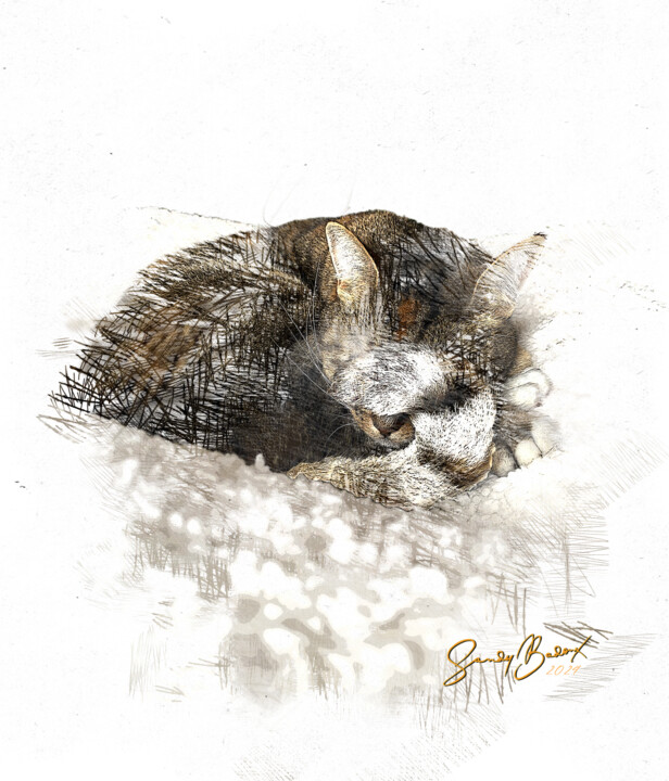 Photographie intitulée "Cat’s lifE" par Sandy Badoux, Œuvre d'art originale, Travail numérique 2D