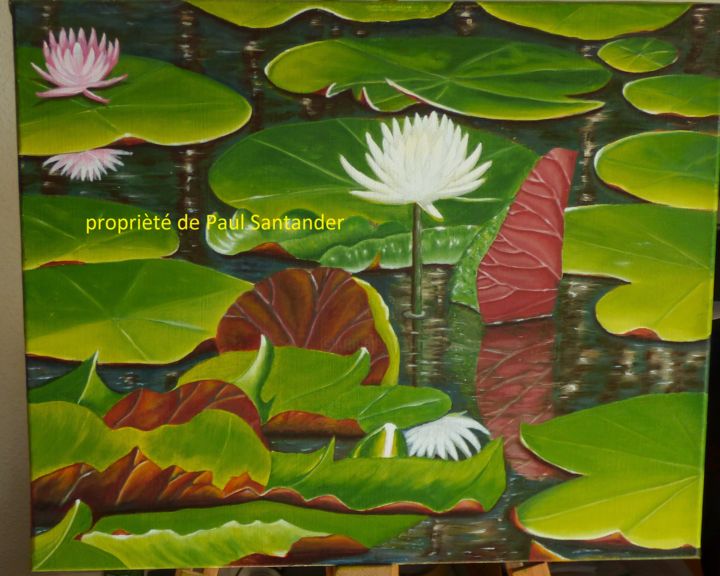 제목이 "Nymphéas  rose"인 미술작품 Paul Santander로, 원작, 기름 나무 들것 프레임에 장착됨