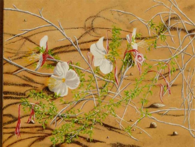 Pintura titulada "fleurs de désert" por Paul Santander, Obra de arte original, Oleo