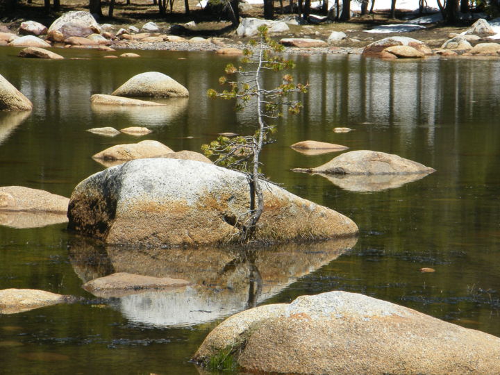 Fotografia intitulada "Lee vining" por Paul Santander, Obras de arte originais